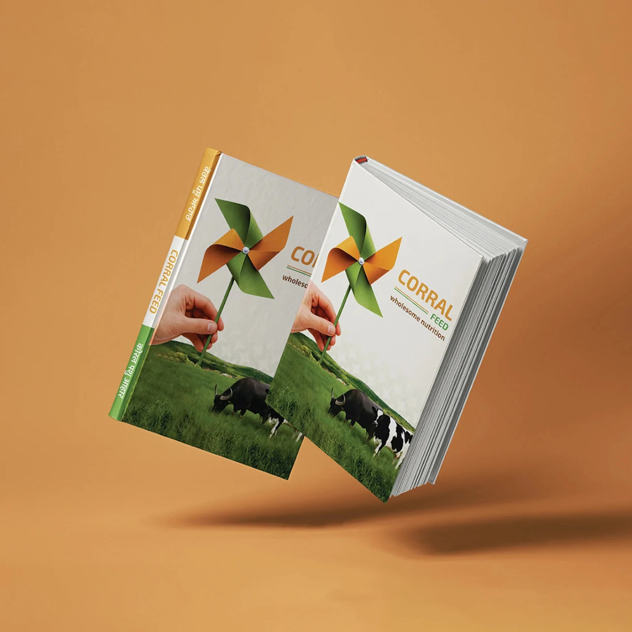 Corral Feed: Graphics work