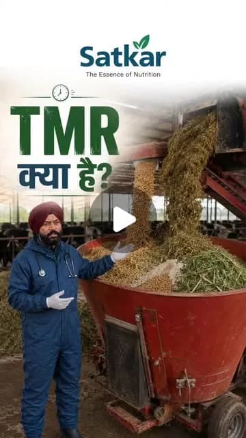 Satkar Feed Instagram reel cover