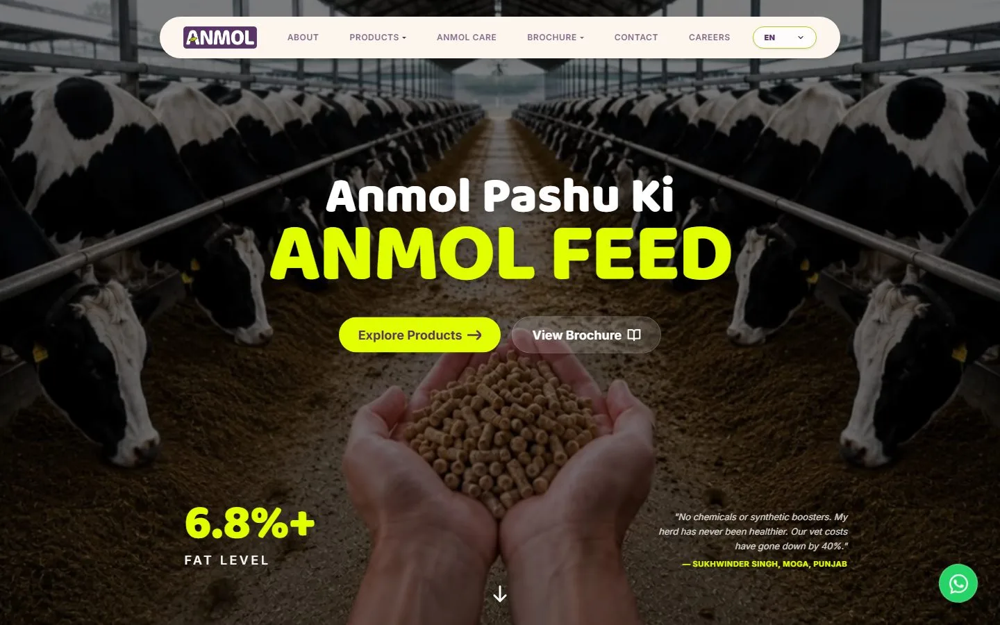 Anmol Feed project overview